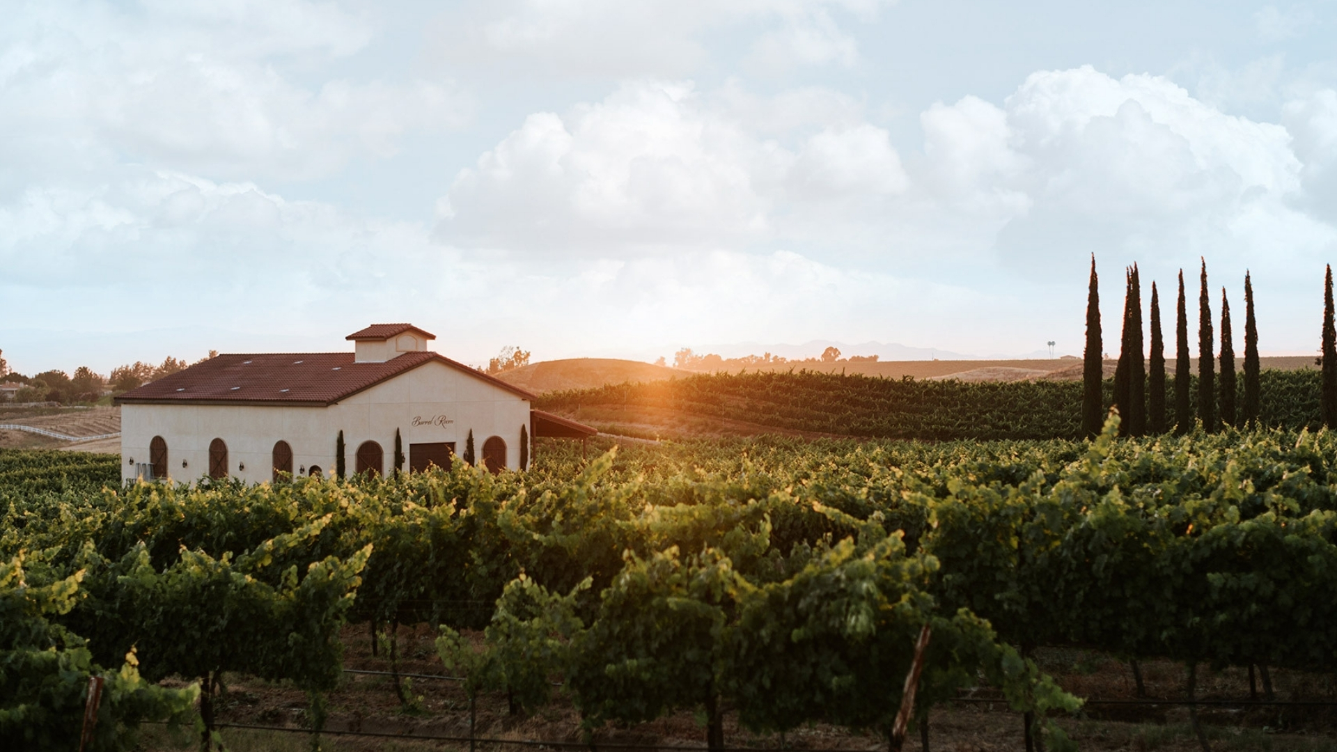 Danza del Sol Winery