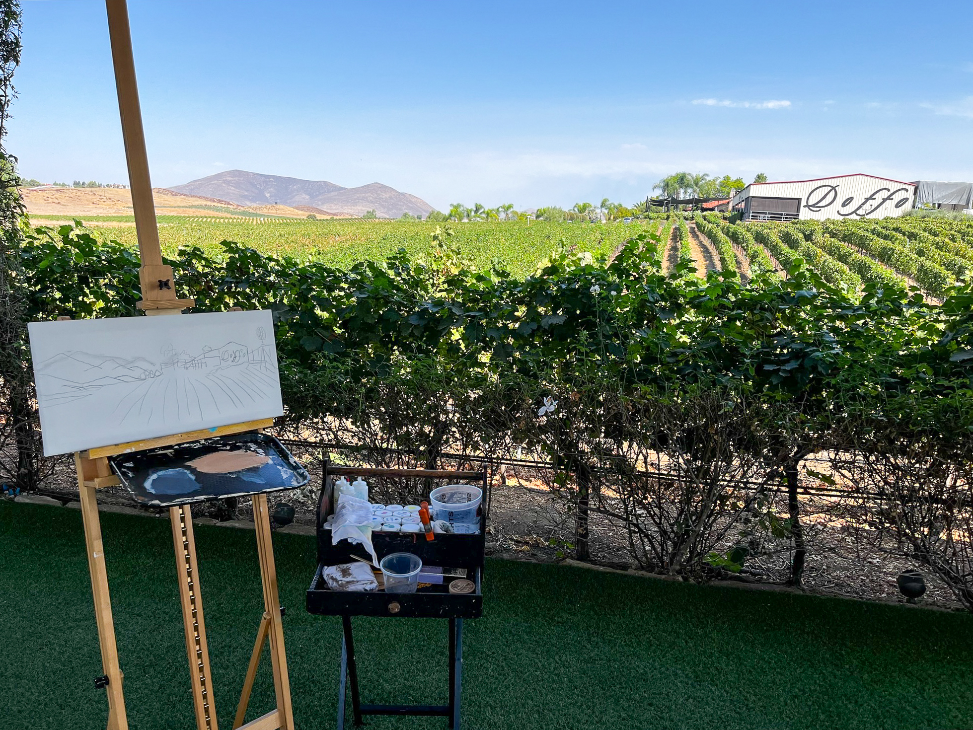 Art in the Vines, Plein Air Painting
