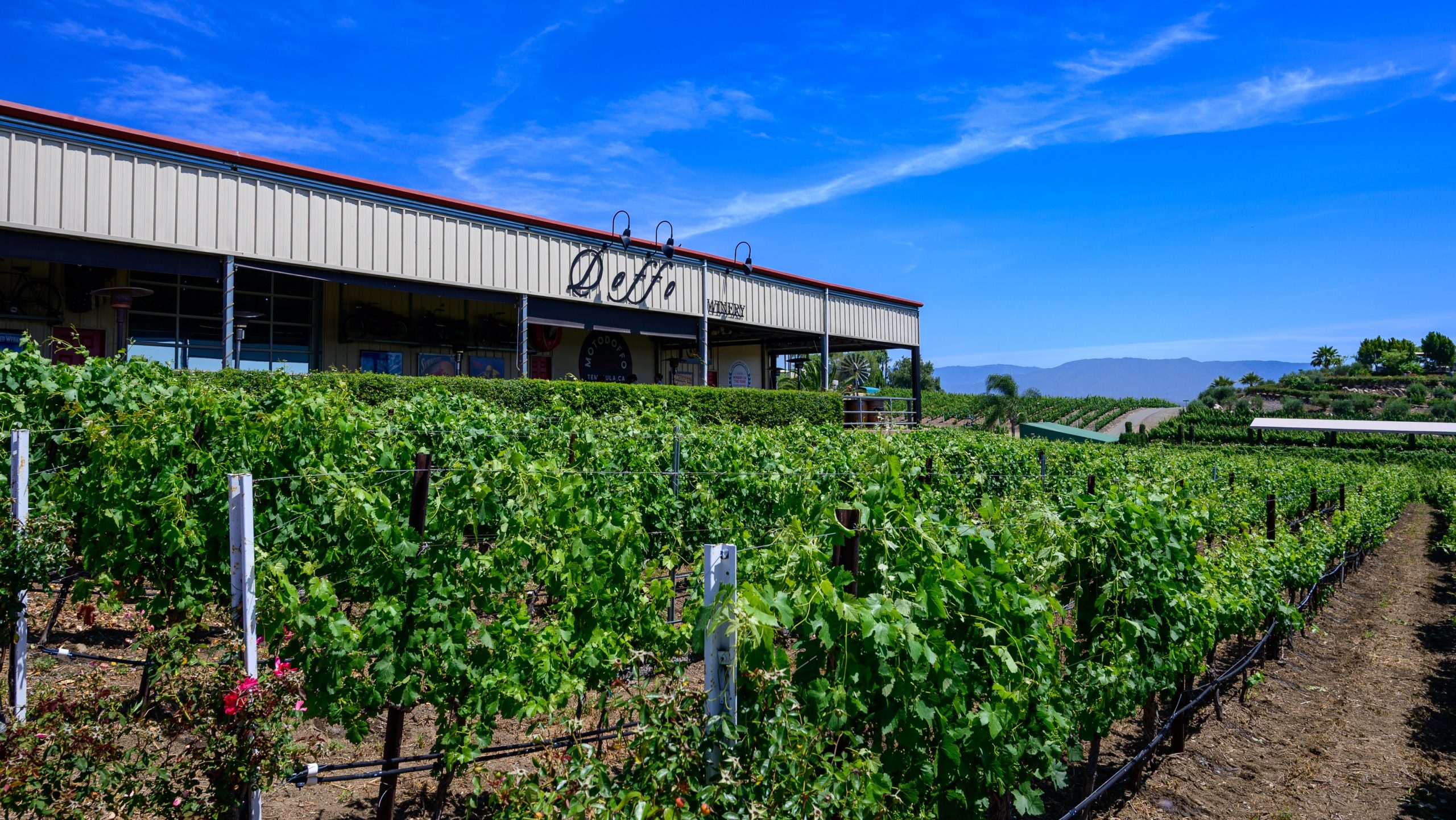 Doffo Winery in Temecula CA
