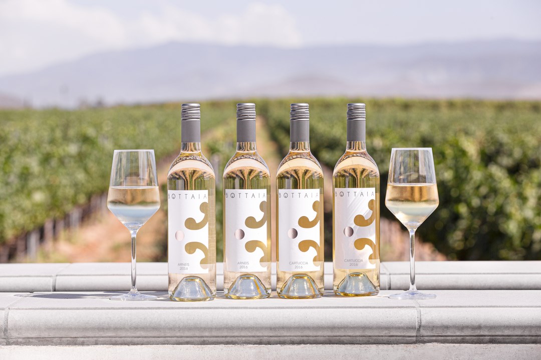 Bottaia Wines