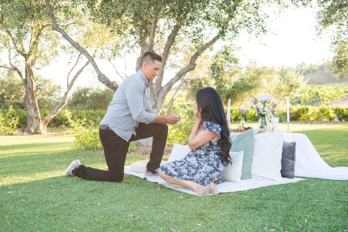 Altisima Winery Proposal Picnic
