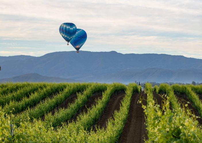 Temecula Valley Hot Air Balloons